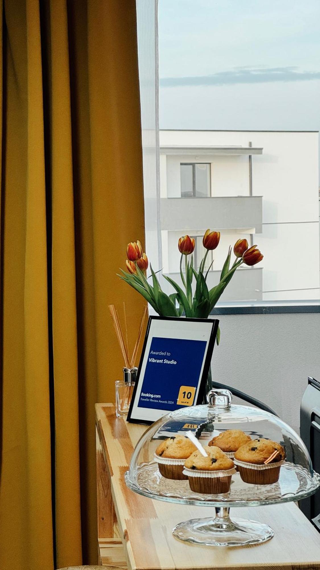 Vibrant Studio Temešvár Exteriér fotografie