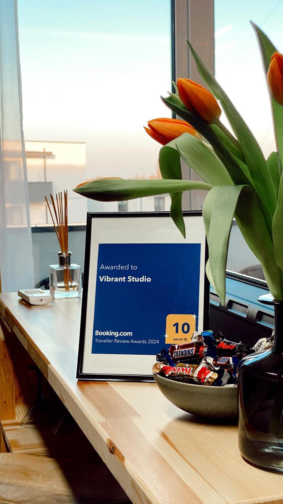 Vibrant Studio Temešvár Exteriér fotografie
